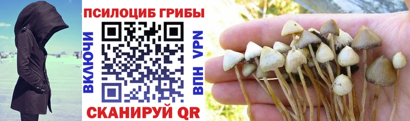Псилоцибиновые грибы мухоморы  darknet клад  Новомосковск 