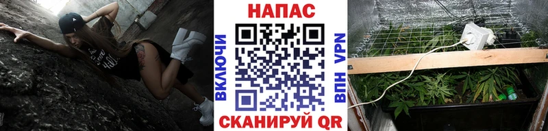 наркота  Новомосковск  Бошки Шишки White Widow 